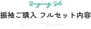 振袖ご購入 フルセット内容
